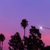 This is Los Angeles (@_this_is_la) 's Twitter Profile