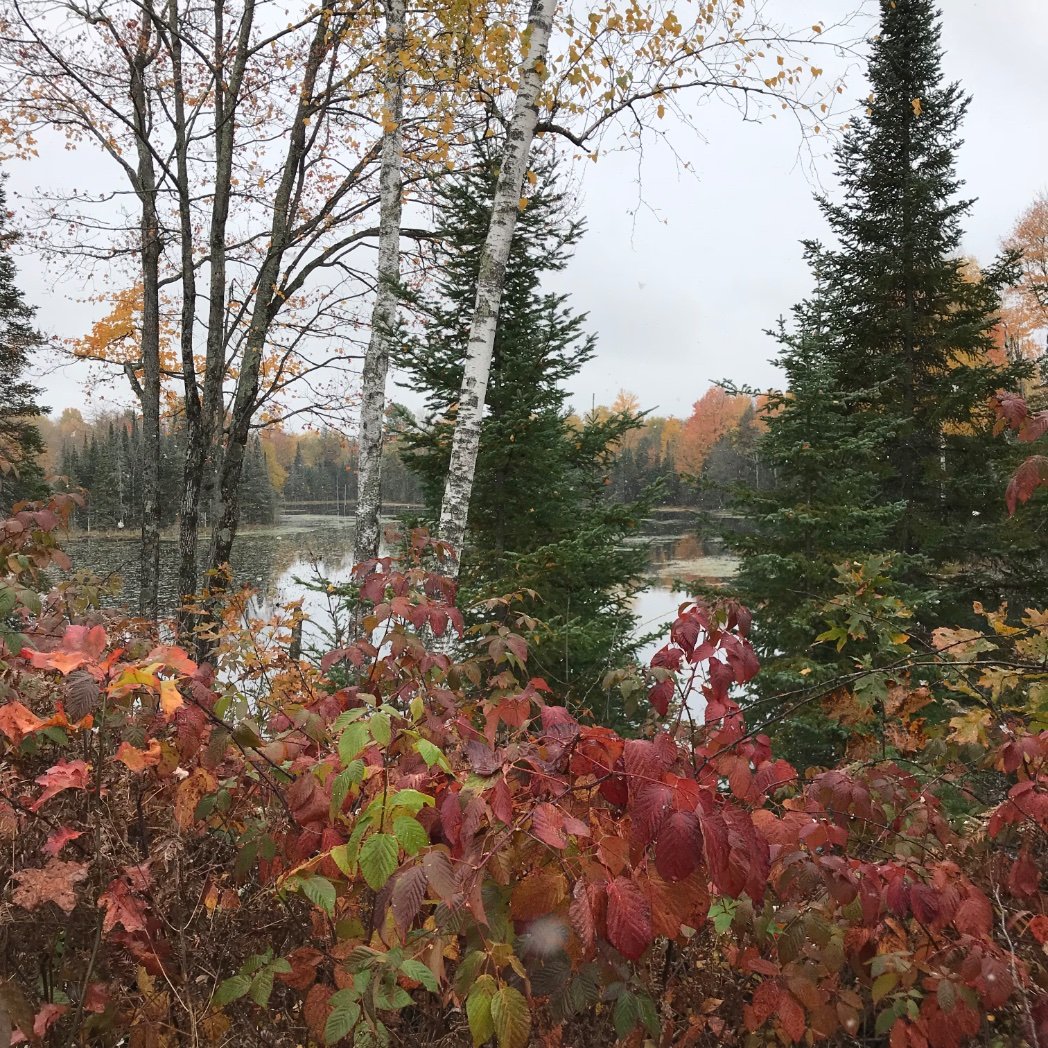 youngtoyce's profile picture. 