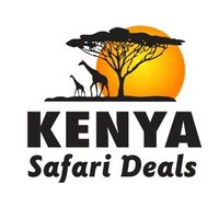 Kenya Safari Deals (@kenyasafarideal) 's Twitter Profile