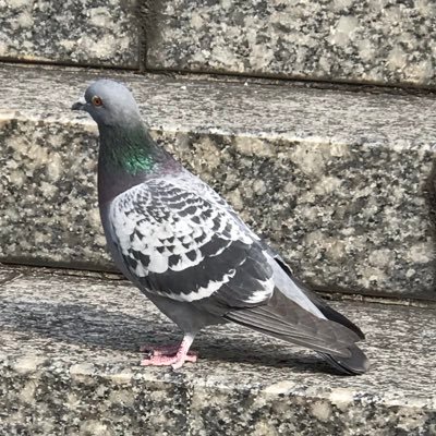 wmlUtUciGBFtAgx's profile picture. 