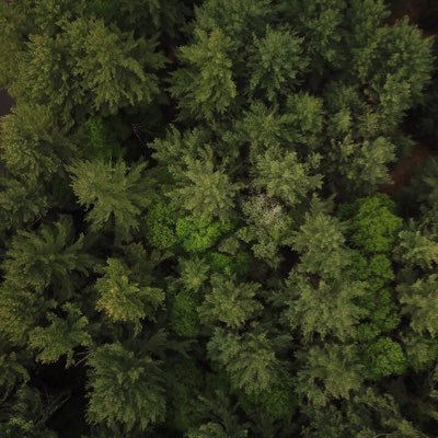 willgallant5's profile picture. 