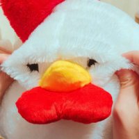 Kazuki Nishikawa (@kinokoruumu) Twitter profile photo