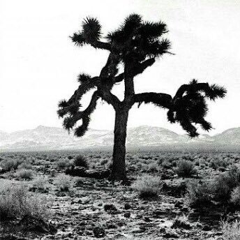 ChristbBruno's profile picture. Ex Football Player ⚽️🇧🇪@SportCharleroi @RWDMolenbeek @UnionStGilloise. Co-founder of @Globalsportdev1., Owner and Breeder 🐎@EcurieAlliance 🍀