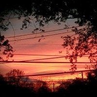 Yo (@yodeszzz) 's Twitter Profile