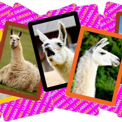 LlamaFarmerGame's profile picture. 