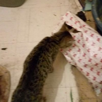 DeeNorda's profile picture. Creator of Beautiful Crochet and Yarn products for babies and adults. 0775390554.
https://t.co/N1EiAriS2i