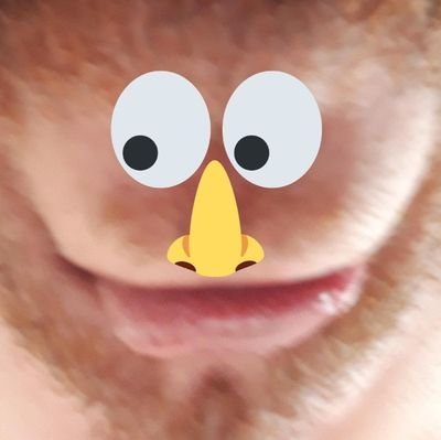 Nada como hacerse una cuenta de twitter para seguir solo gente de #HAMOR y no enfadarse así con twitter