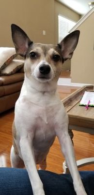 BobbyR773's profile picture. Man😎