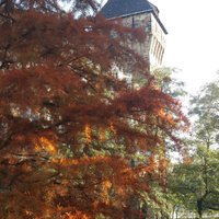 Cansu Demirel (@hcansud) 's Twitter Profile