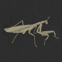Praying Mantis (@4praying_mantis) 's Twitter Profile