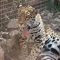 Andy (@andrewmcdowell0) 's Twitter Profile