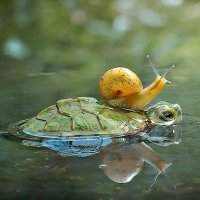 Ribera del Duero (@forestalduero) 's Twitter Profile