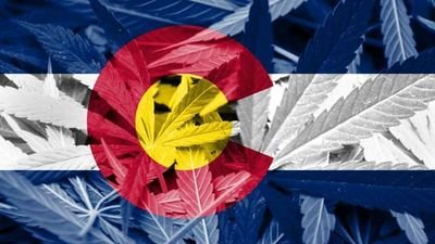 ColoradoCannabisConnection