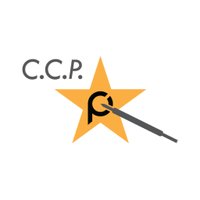 CCP Pogo Pin(@CCPContactProbe) 's Twitter Profile Photo