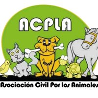 ACPLA - Asociacion Civil Por Los Animales(@_ACPLA) 's Twitter Profile Photo