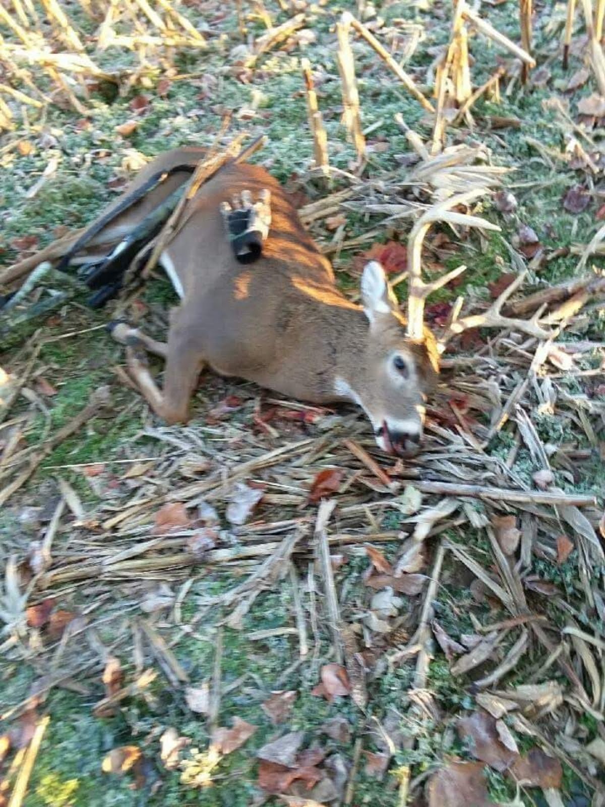 RobertLShepher3's profile picture. 