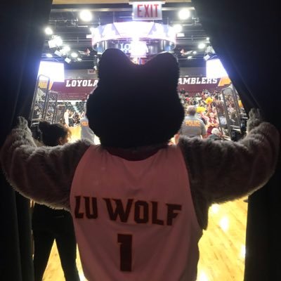 I am LU Wolf, mascot of THE Loyola University Ramblers. I am RAMBLER PROUD! Howl at a wolf when you see me on the street!