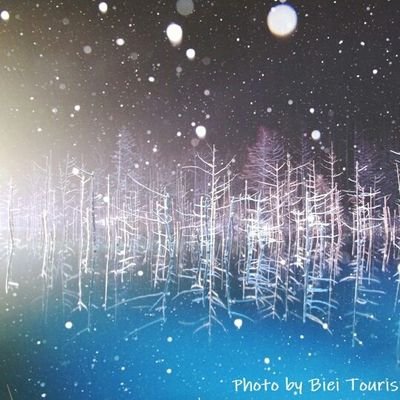 Majo314Majo's profile picture. 色々仲良くしてください😁
北海道の真ん中ら辺が
大好きです‼