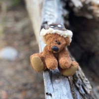 Sam Cooper-Gray (@samcoopergray1) 's Twitter Profile