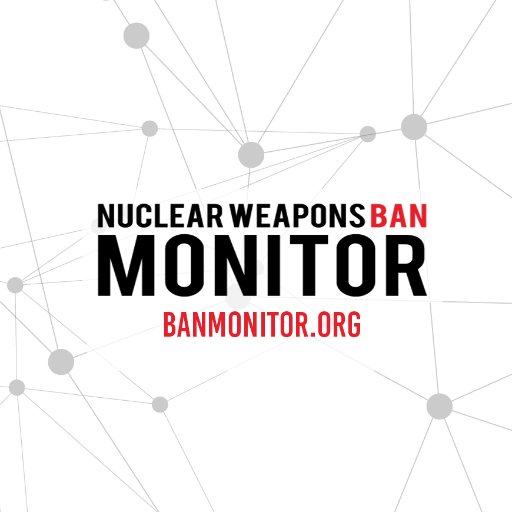 Tracking progress towards a world free of nuclear weapons through the #nuclearban. A research programme managed by Norwegian People’s Aid @NPAdisarm.