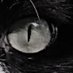 PIERRE YVES🎗️⚫️ (@pyh_pierre) Twitter profile photo PIERRE YVES🎗️⚫️ (@pyh_pierre) Twitter profile photo