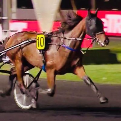 DewulfSebastien's profile picture. 