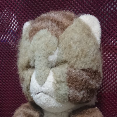 chifutan_fx's profile picture. 個人トレーダー目線でトレードに関する情報を呟いています。チャートからの需給推測・EMA・BB・指標日程・ファンダメンタルズ・株式に関する情報が主
元総合系コンサル/現フリーランス
海と魚と料理が大好き

現実とは戦わなければならない