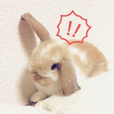 wulingba's profile picture. 