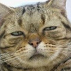 福岡生まれ福岡育ち 🐱
独身 😶🌫
運行管理者 🚕🚌🚚
学生時代、小中高とサッカー部 ⚽、
健康第一、酒タバコ🆖❌❌、
好きなもの 🙆 旅行、温泉、ドライブ、海、森高千里、椎名林檎、こち亀、寅さん、ミナミの帝王 😎
無言フォローOK、横リプ引用リツイートOK、画像動画転載OK 😸👍