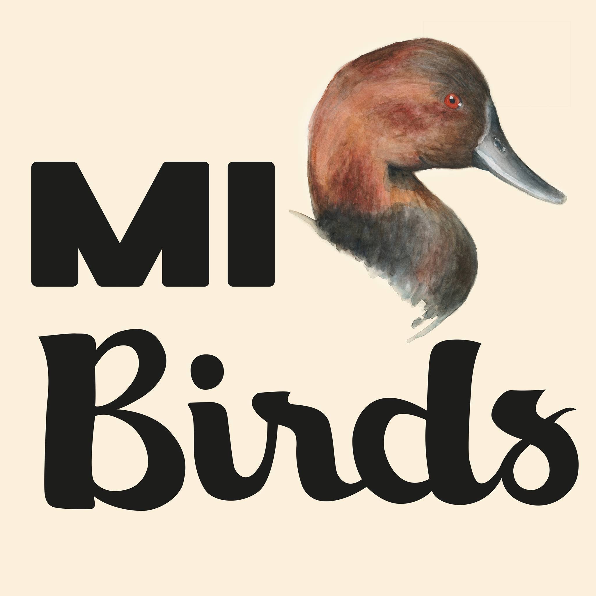 Aims to increase all Michiganders' engagement in the understanding, care, and stewardship of #publiclands that are important for #birds and people.
