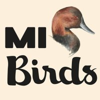 MI Birds(@birds_mi) 's Twitter Profile Photo