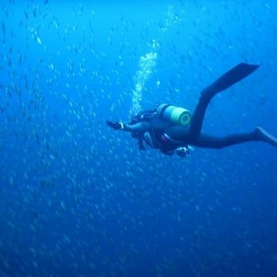 harurunrun17's profile picture. 開咬の為コロナ中歯科矯正を始め３年ブラケットワイヤー顎関ゴム後8月にブラケット外れSDL技工所のメタルリテーナー装着中

蔵王と小野川温泉、天元台スキー場Love

scuba diving  田子.神子元 
今年はBalicasag Island, Boholに行けました
ピラティスマシーンで上半身痛めた為ヨガに