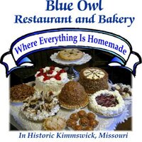 The Blue Owl (@theblueowl) 's Twitter Profile