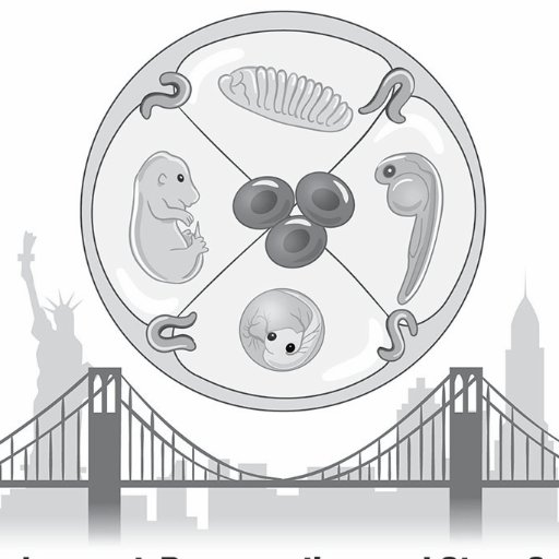Development, Regeneration, and Stem Cells. An interactive group of ISMMS scientists investigating fundamental questions in biology and biomedicine in NYC.