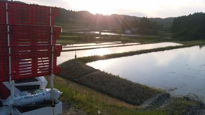 世界農業遺産認定の地、輪島市の棚田集落「#金蔵」地区で、「#金蔵米蔵金」の生産・販売をしています。日商簿記2級、高等学校教諭一種免許状(商業)等の資格を持つ、法務博士(ロースクール卒)が、能登の田舎でお米を作っているのです(*´∀`*)ノご購入はHPから、もしくはDM、メールでも受付中♪
#能登半島Twitter会