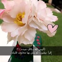 لطيفه🌱 (@lto_0fh) 's Twitter Profile