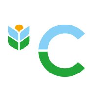 Comisión contra el Cáncer (@comisioncancer) 's Twitter Profile