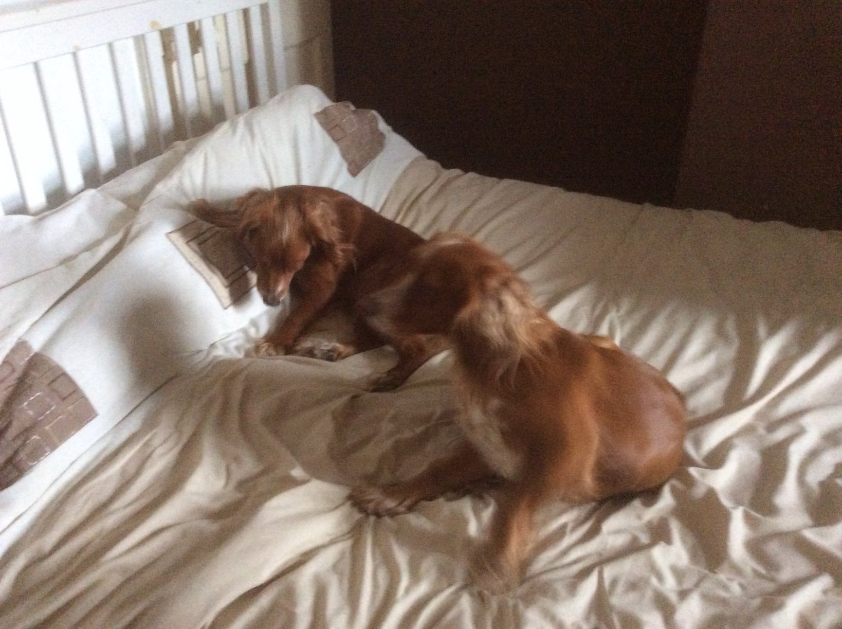 CaroleDoherty7's profile picture. 