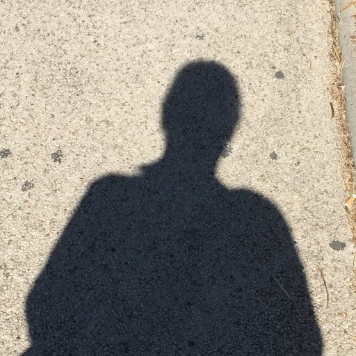 Al Profile