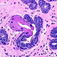 Skip O. Cyte, MD (@skipocytes) 's Twitter Profile Photo Skip O. Cyte, MD (@skipocytes) 's Twitter Profile Photo