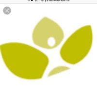 St Mary's RC Primary (@st_marys_lev) 's Twitter Profile