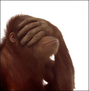 monkey716's profile picture. The truth about monkeys.