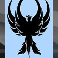 MudefordPhoenixFC (@mudefordphoenix) 's Twitter Profile
