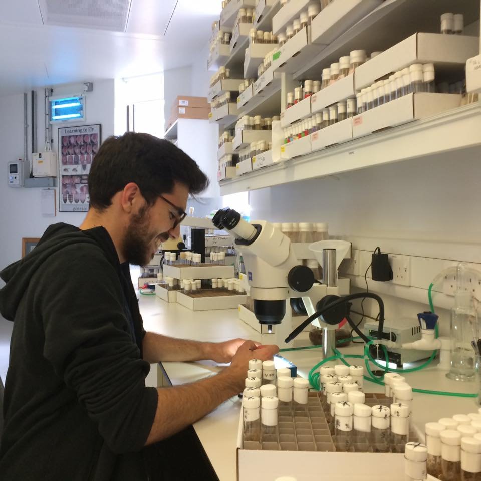 AlexVrvoo's profile picture. Neuroscience PhD student | Akerman lab @OxNeuro | Cortical microcircuits