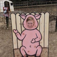 Andrew (@andrew_delivers) 's Twitter Profile