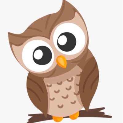 Leigh Central Primary School, Year 4 Owls class teacher.