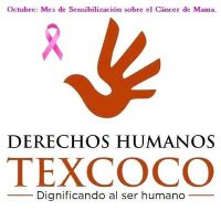 TexcocoDH (@texcocodh) 's Twitter Profile