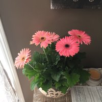 Kelly Martin (@kellymartin02) 's Twitter Profile