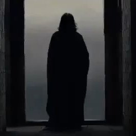 RpgHpetCo's profile picture. ~ RPG HP ET CO ~ RPG Basé sur Harry Potter (année 1998), Multi RPG Accepté + inventé perso pris dans les FAV : Bella, Tonks, Remus et Severus ~