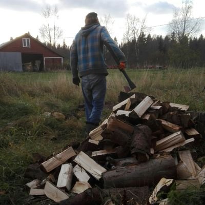 ddymstms's profile picture. 